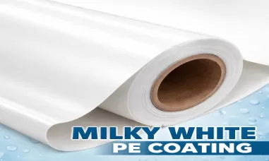 Milk White PE (revêtement) : Une vue d’ensemble technique complète